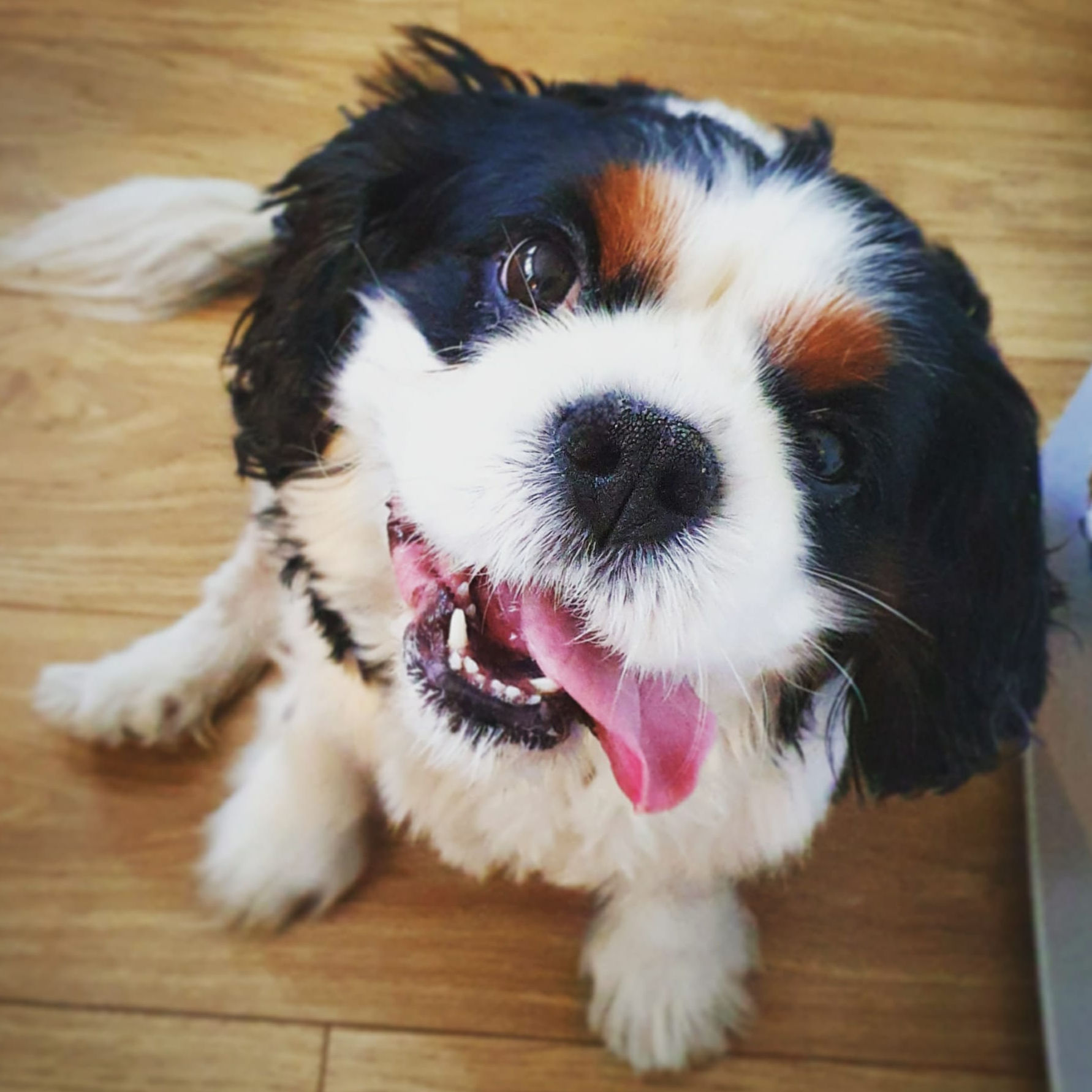 2024_2025 - Murphy - 19.jpg